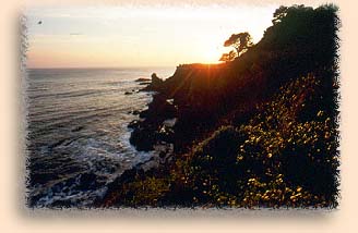 coast.jpg (19312 bytes)