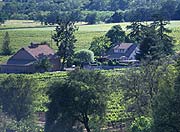 View of Vineyard